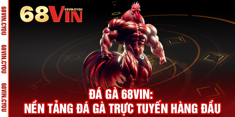 Đá Gà 68VIN - Máu lửa đá gà, thưởng thức đếm tiền không ngừng 2 Đá Gà 68VIN: Nền Tảng Đá Gà Trực Tuyến Hàng Đầu