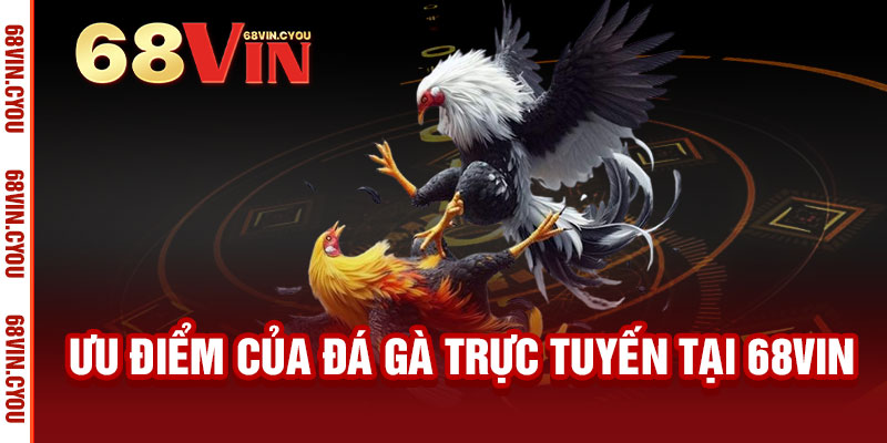 Đá Gà 68VIN - Máu lửa đá gà, thưởng thức đếm tiền không ngừng 3 Ưu Điểm Của Đá Gà Trực Tuyến Tại 68VIN